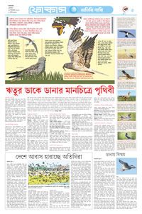 page5