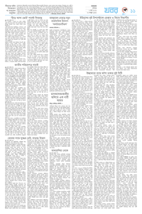 page11