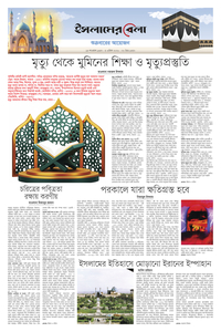 page7