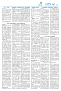 page11