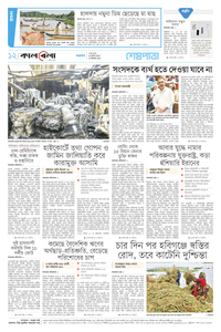page12