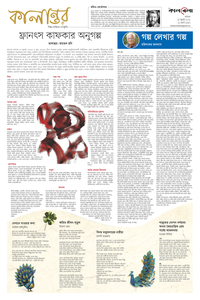 page5