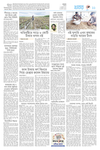 page11