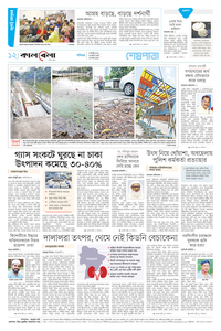 page12