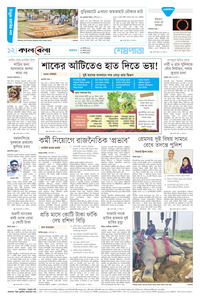 page12