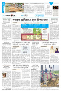 page12