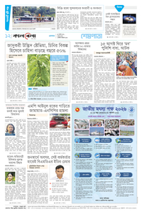 page12