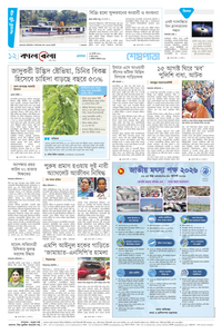 page12