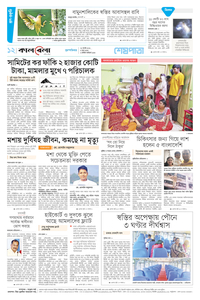 page12