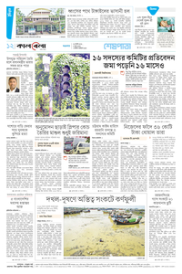 page12