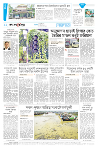 page12