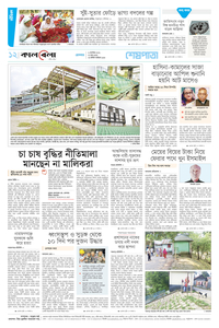 page12