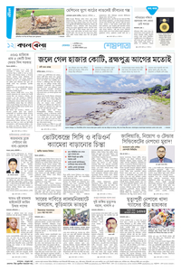page12