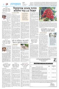 page8