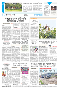 page12