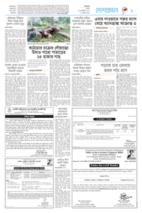 page9