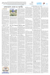 page11