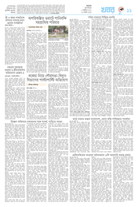 page11