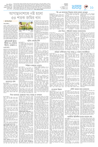 page11